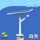 DIGISINE★ST-300 太陽能智能路燈 - 12V系統/2000流明/白光 [太陽能發電 [戶外照明路燈 [藍牙遙控