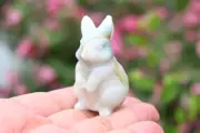 2'' Natural Amazonite Rabbit hand carved reiki Crystal skull decor heal gift 1pc