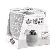 Mr Fothergill's House Plant Grow Kit - Flowering cactus