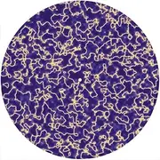 Slipmat Slip Mat Scratch Pad Felt for Any 12" LP DJ Vinyl Turntable Record Player Custom Graphical - Wild Plasma 1
