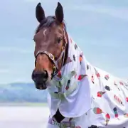 Shires Tempest Original Fly Sheet Neck Cover (No Fill)