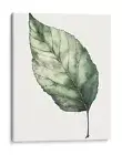 Botanical Leaf Wall Art Print, Contemporary Nature Home Decor