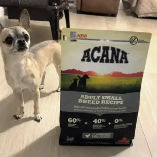 ACANA 愛肯拿 狗狗乾糧 無穀 WDJ推薦 低敏 幼犬 成犬 老狗 全齡犬 低卡犬 狗飼料 犬乾糧【寵物主義】