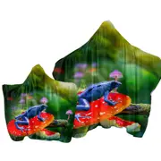 Beautiful Nature Frog on Mushroom Towel with Hood