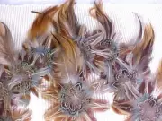 Feathers for Corsage Pin Crafting Fabric Backing Brown Green White Lot of 21