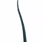 50" to 55" Reeves Pheasant Tail Feather - Navy Blue ((SECONDS))