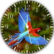 Colorful Parrots Frameless Borderless Wall Clock Nice For Gifts or Decor W273