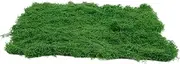 INOOMP Micro Landscape Artificial Moss Turf Realistic Decor for Bonsai Fish Tank and Garden Landscaping Durable for DIY Projects Photo Props