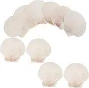 KOMBIUDA 10 Pack Natural White Scallop Shells DIY Craft Wall Decor Ocean Wall Art Sea Shells for Crafting