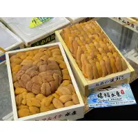 在飛比找蝦皮購物優惠-【禧福水產】每週空運日本北海道生食馬糞愛心海膽/小川排列/無