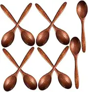 DONFAMDS 10Pcs Wooden Spoons Natural Wood Scoop for Sugar Tea Condiments Compact Handle Spoons for Jars Kitchen Use and