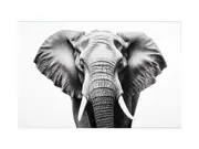 Elephant White And Black Art Canvas Print