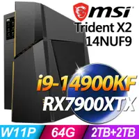 在飛比找PChome24h購物優惠-MSI Trident X2 14NUF9-268TW (i