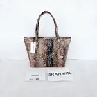 NEW BRAHMIN INTUITION MEDIUM ASHER