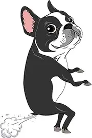 Car sticker hotspot cartoon Boston dog terrier fart vinyl PVC waterproof sunscreen 20CM (Color : Beige, Size : 20CM)
