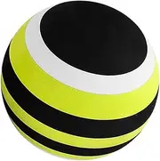 Massage Ball Deep Tissue Massage Compact Multipurpose Fitness Equipment Acessories Fascia Ball Fitness Ball for Back Shoulder, 6.25CM