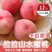 在飛比找momo購物網優惠-【WANG 蔬果】卡拉部落拉拉山水蜜桃12顆x6盒(1.2-