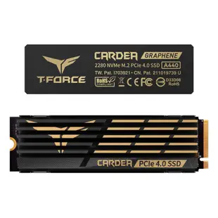 T-FORCE 十銓 CARDEA A440 1TB 2TB M.2 PCIe SSD 黑曜女神 固態硬碟 雙散熱片