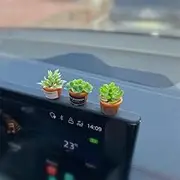 Wyuoot Mini Car Ornament, Mini Succulent Dashboard Decor, Desktop Miniature Pottery Planter for Car Interior Decoration (Succulent)