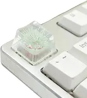 Resin Keycap with High Transparency for Mechanical Keyboards Featuring Elegant Pine Blossom Designing