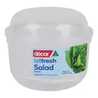 NEW Decor Tellfresh Lettuce & Salad Mix Crisper By Spotlight