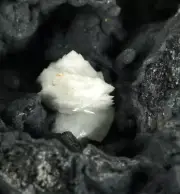 Baryte Crystals on Coronadite. Kintore Cut Broken Hill NSW. Australia. (EA9913)