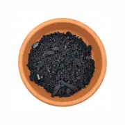 Biochar (Nutrient Retention & Microbe Home)