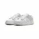 Nike Dunk Low Photon Dust W 灰白 女款 休閒鞋 DD1503-103 US5 灰白