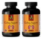 Juniper Berries Powder - KIDNEY SUPPORT 700mg - Regulate Endocrine System 2B