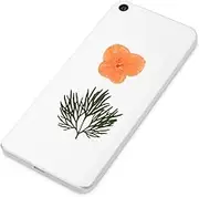 Beatifufu 40 Pcs Dried Flowers Material Pack for DIY Crafts Mobile Phone Cases and Office Decor Vibrant Real Pressed Orange Blooms for Elegant Decorations