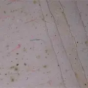 Handmade Papers with Floral Inclusions