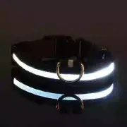 Light Up your Dog's Night with our LED dog collar- BLACK COLLAR with WHITE LIGHT