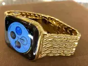 Custom HERMES 24k Gold Plated 45mm Apple Watch Series 9 Stainless Steel LTE
