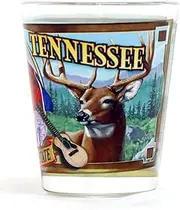 Tennessee State Mural Shot Glass Glassware