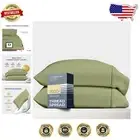 Luxury 1500 Thread Count Egyptian Cotton King Pillowcases - Set of 2, Sage Green
