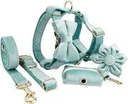 IUOUTG No-Pull Dog Harness Collar and Leash Set Adjustable Dog Collars with Metal Buckle and Quick Release Buckle for Medium and Large Dogs