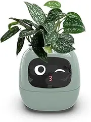 [Itigoitie] Smart Flowerpot With AI Planter, Multiple Expressions, 7 Sensors, and Chips - Intelligent Pet Planter for Easy and Fun Plant Raising in Living Room (Green, Plant-Free)