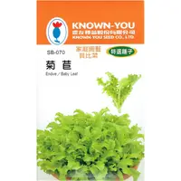 在飛比找蝦皮購物優惠-種子王國 菊苣【貝比菜種子】農友牌 BABY菜 特選蔬果種子