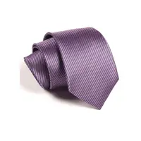 在飛比找PChome24h購物優惠-【拉福】領帶窄版領帶6cm防水領帶拉鍊領帶(紫)
