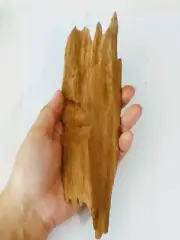Living Wood Oud Agarwood Decoration Feng Shui Ambon Oudh Incense 48g
