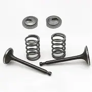 WQWQW Spring Retainer kit 5.5-6.5HP Engine Exhaust Valve for Honda GX200 Gasoline Lawn Mower Convenient