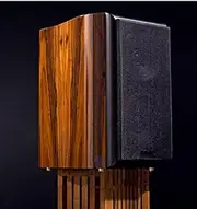 GOWE Bookshelf Speakers specially for digital or tube amplifier