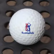 TPC Scottsdale Logo Golf Ball Dunlop 3 - Unused (1) Ball