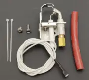 002003F Pilot Assembly Replaces Raypak 002003F Pool & Spa Heat Same day shipping