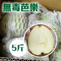 在飛比找台灣好農優惠-生態無毒芭樂(5斤/箱)