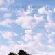 【雲雀影音】《 Piano Dreamers 》雲端上的琴聲｜REAL MUSIC｜絶版二手CD（LS1406）