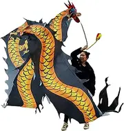 Dragon Dance Silk Black Dragon Dance Ribbon for Elderly Youth Adults Fitness Throw Streamer Outdoor Playing Exercise Rhythmic Gymnastics Rhythm Ribbon (Color : Black, Size : 6m/20ft)