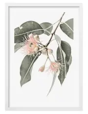 [Profile Australia] Australian Made Eucalyptus Wildflowers Art Print A1 Frame in White