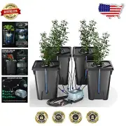 Advanced DWC Hydroponic Setup: 4 Buckets, Air Pump and Complete Drip System
