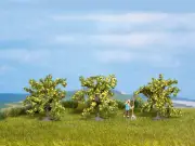 Noch 25115 Ho Scale Three Lemon Trees - Height 40 mm